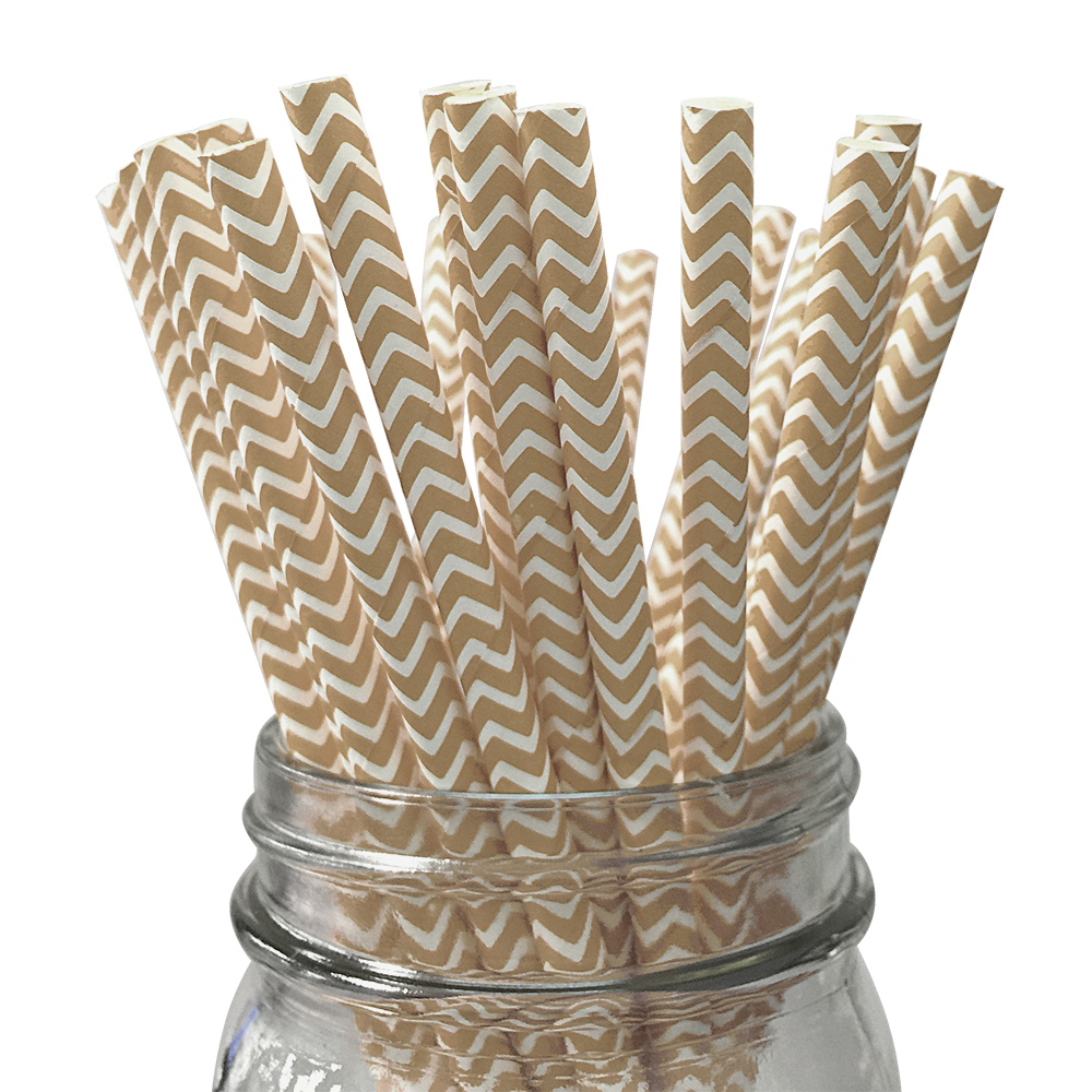 Paper Straws – Angled Stripe