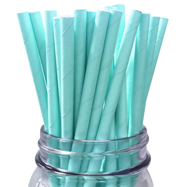 Small Paper Straws - Sunshine Supply