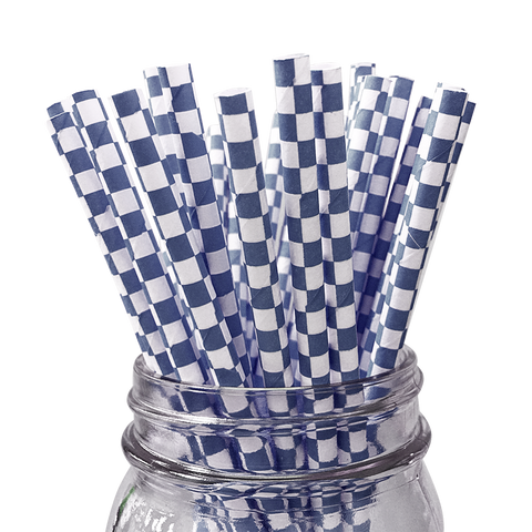 Blue Checkered 25pc Paper Straws.