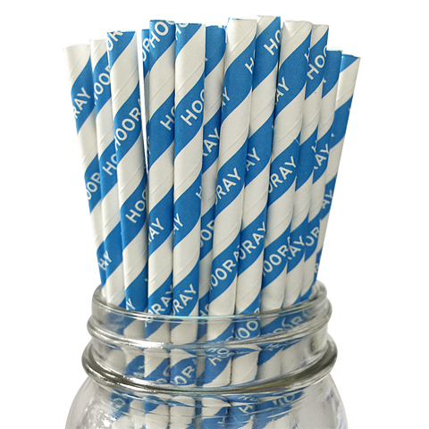 Blue Hooray 25pc Paper Straws.