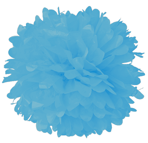 Teal pom pom hot sale